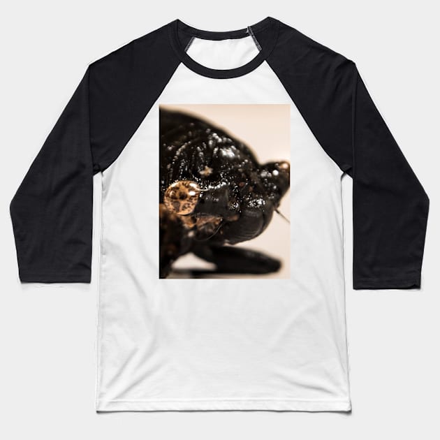 Cicada Baseball T-Shirt by SHappe